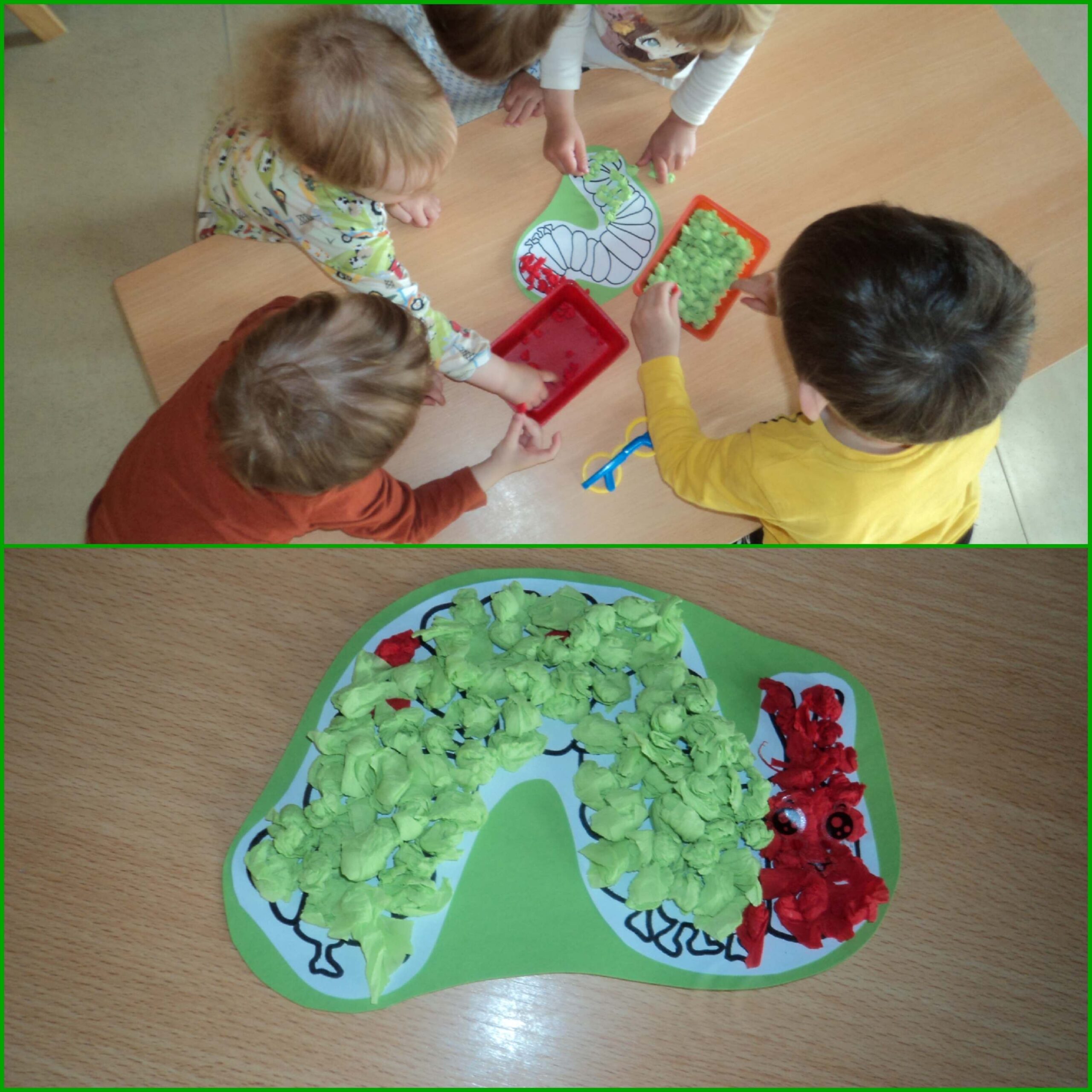 Von der Raupe zum Schmetterling